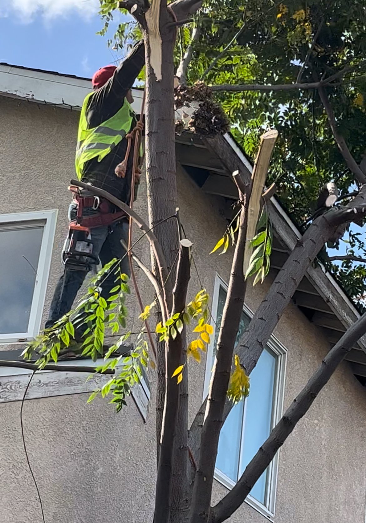 Commercial Parking Lot Cleaning